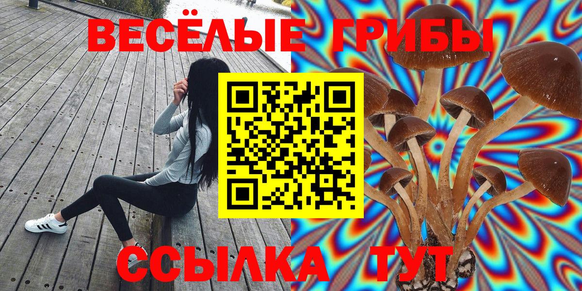 Псилоцибиновые грибы ЛСД  Псилоцибиновые грибы мухоморы  Курган  Вход с VPN 